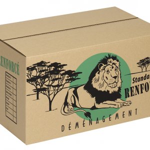 sherpabox-carton-demenagement